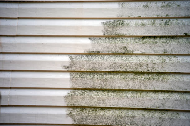 Best Siding Removal and Disposal  in Manasquan, NJ